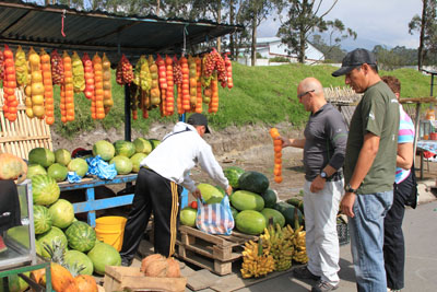 Frugtindkøb til bussen