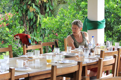 Morgenmad med uindbudt gæst