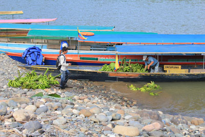 Bananerne blev vasket