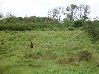 Her på denne mark nærmest vrimlede det med kæmpe spildpadder