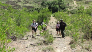 P&aring; vej op af bjerget