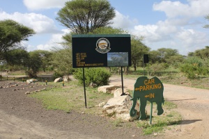 Tarangire